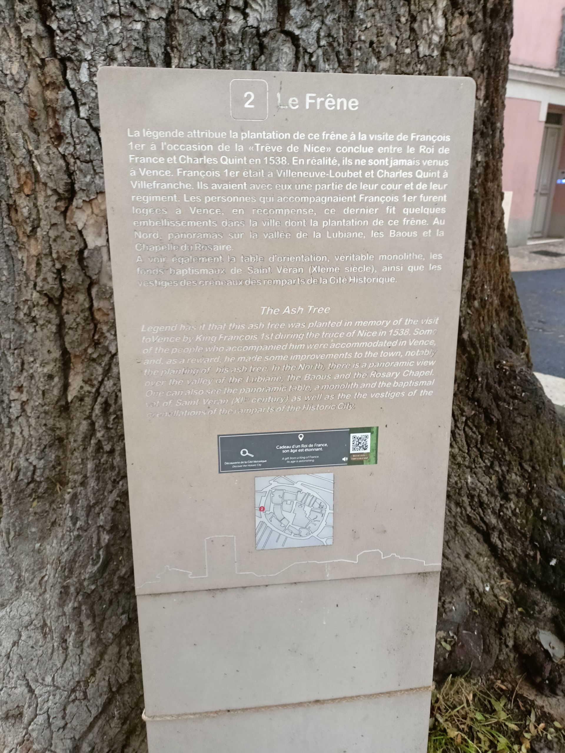 Il grande Frassino di Vence in Francia