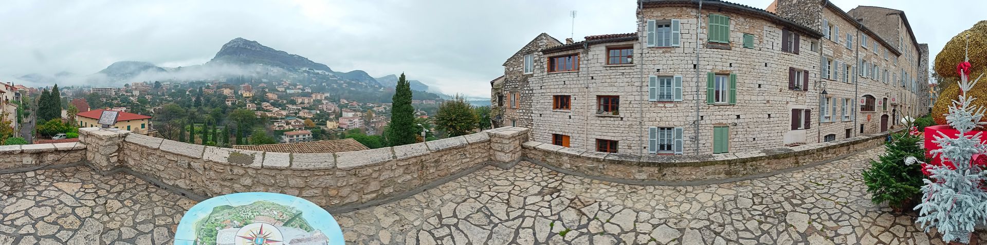 Il grande Frassino di Vence in Francia