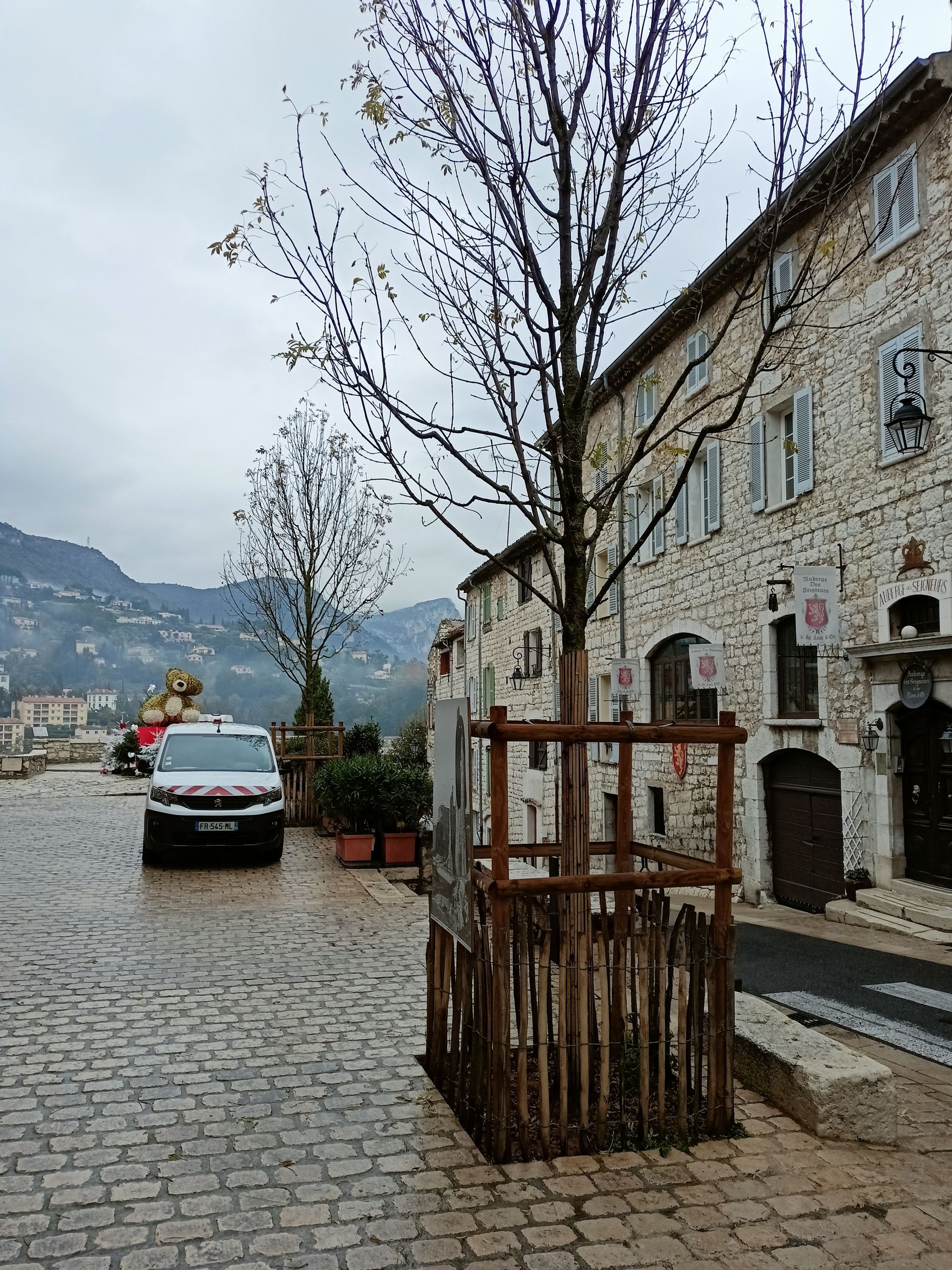 Il grande Frassino di Vence in Francia