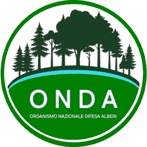 logo Onda