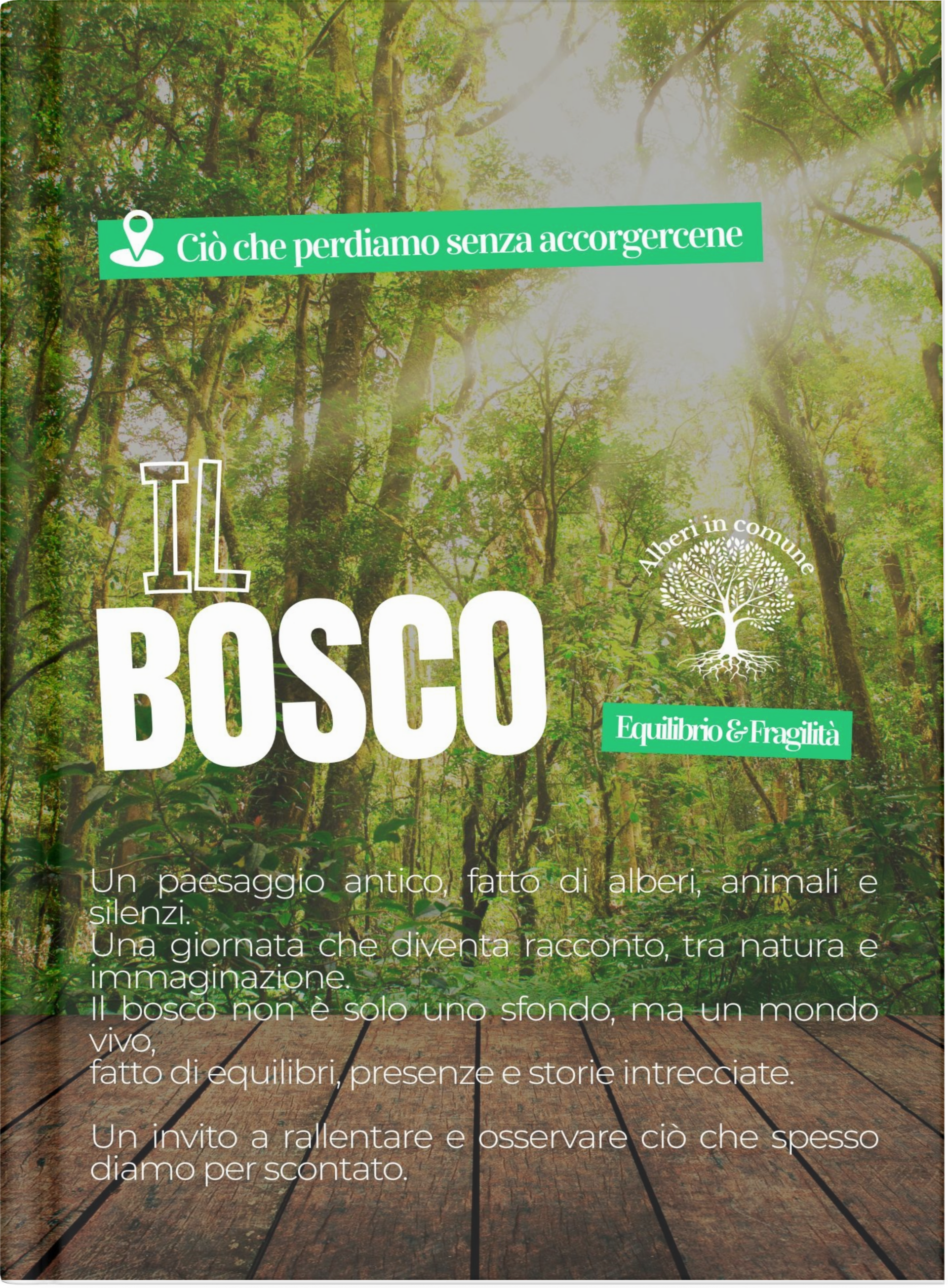 mock up libro Alba
