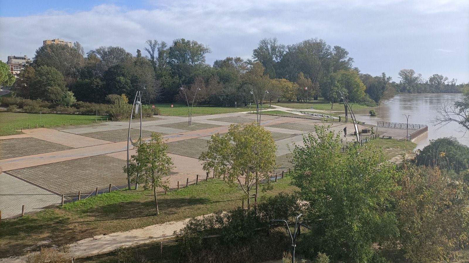 La valutazione dello stato di salute dei nostri alberi - Alberi in comune