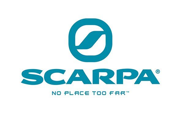 scopri Linea Professionali