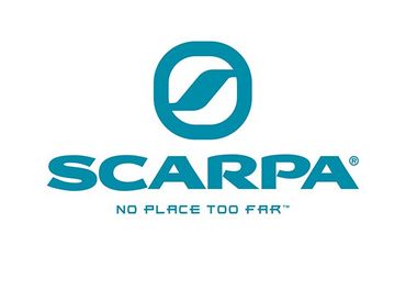 scopri Linea Professionali