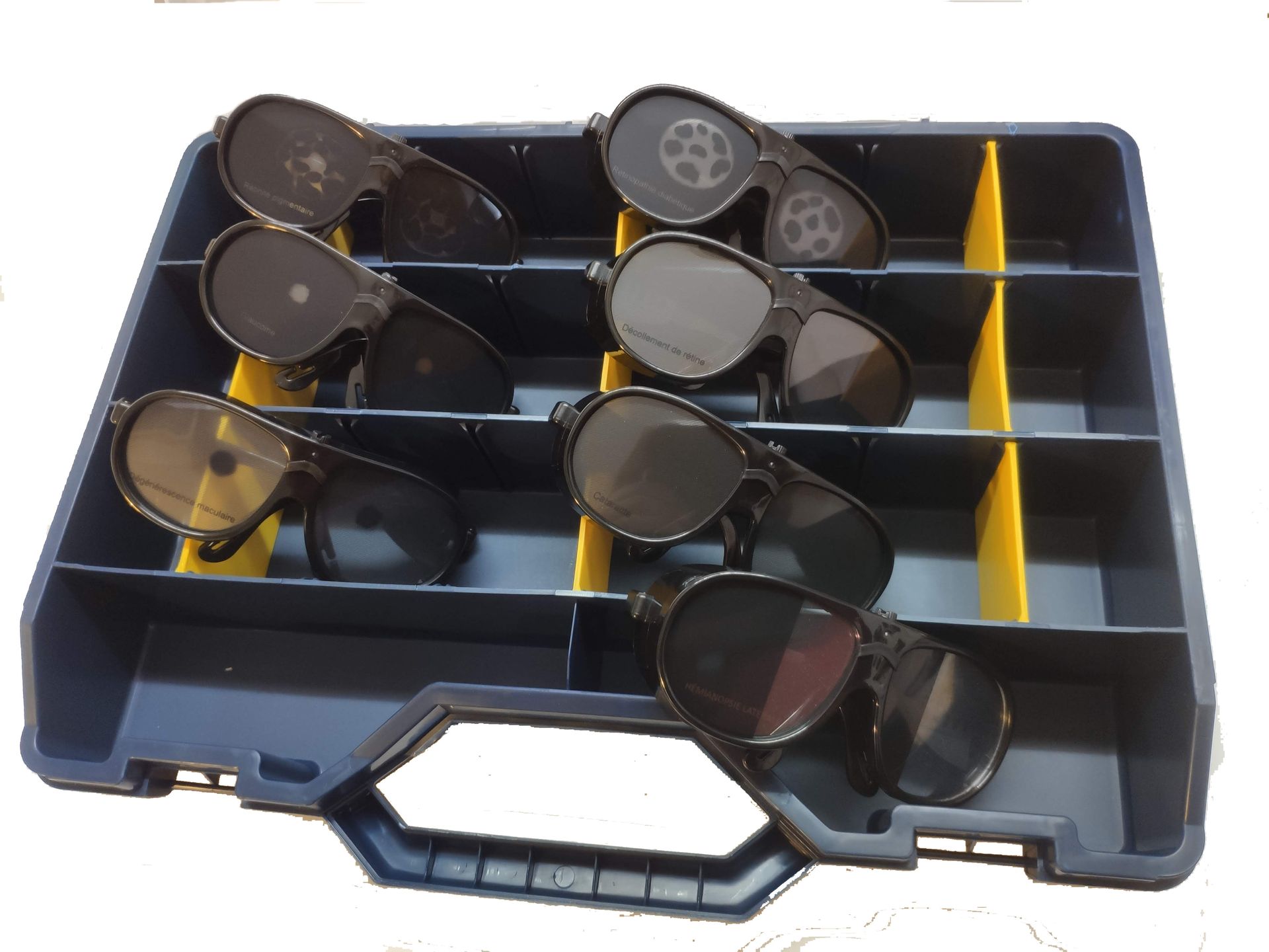 SIVIHA: Set of 7 Eye Disease Simulation Glasses