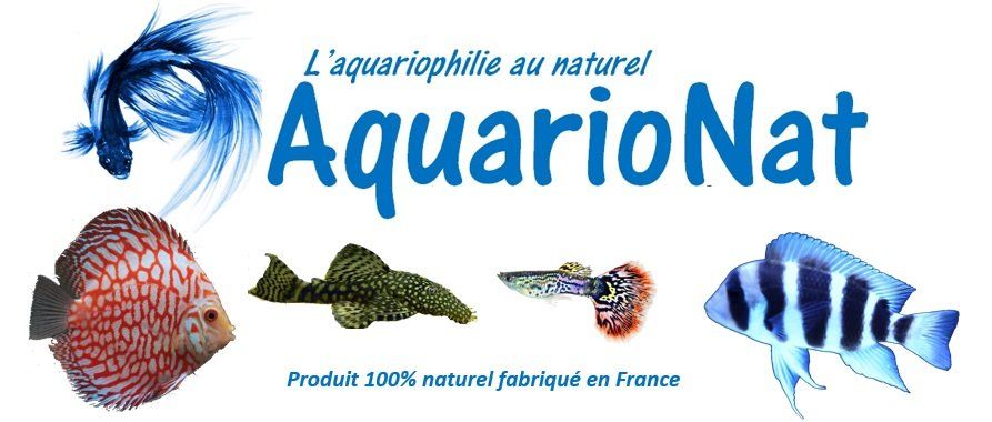 Aquarionat Aquarionat