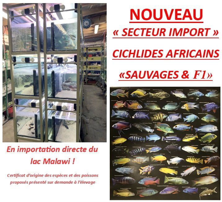 Notre secteur import Notre secteur import