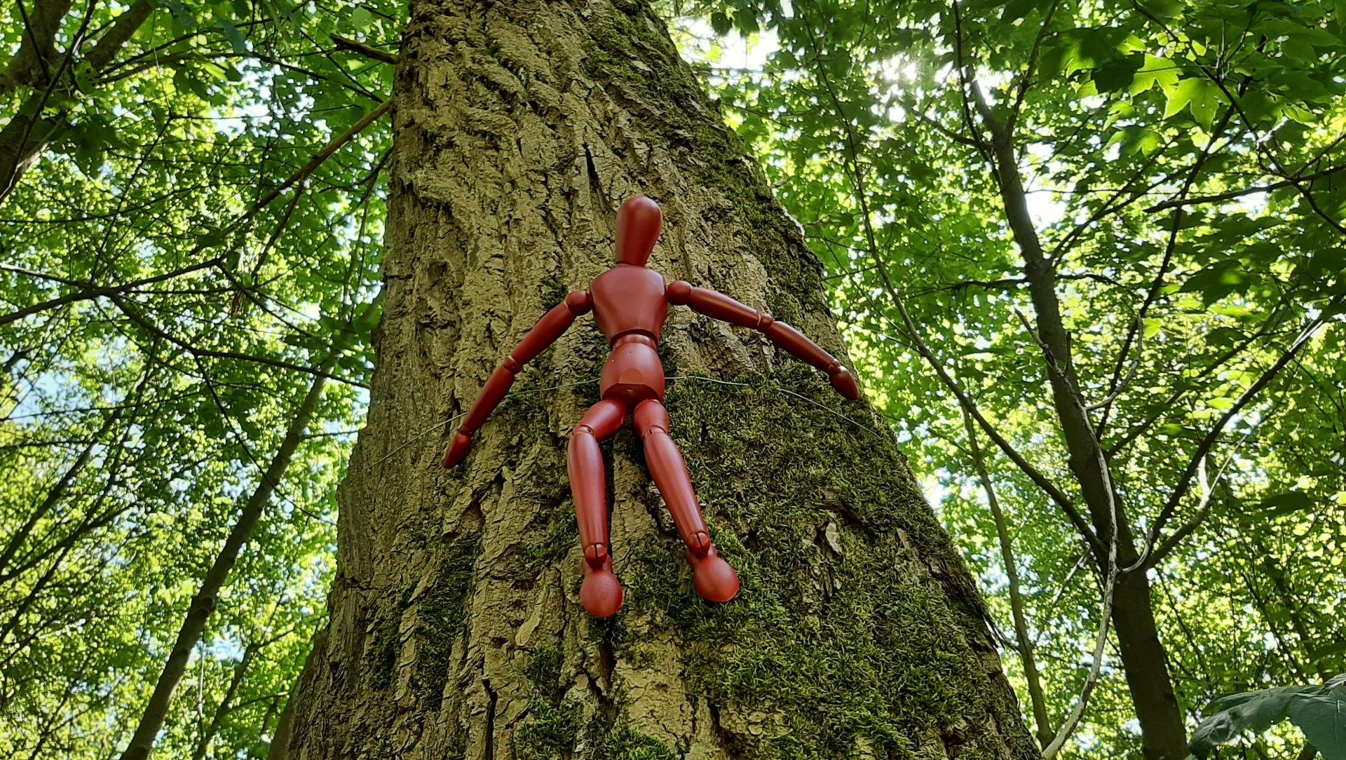 Waldvernissage Knut Waschkau Waldausstellung