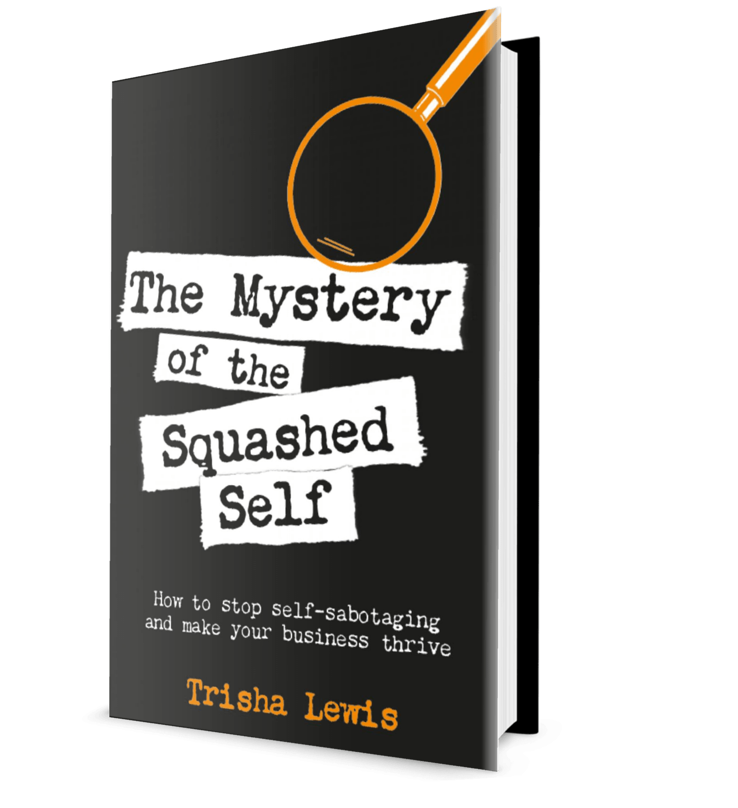 fRONT COVER OF tHE mYSTERY OF THE sQUASHED sELF BY tRISHA lEWIS