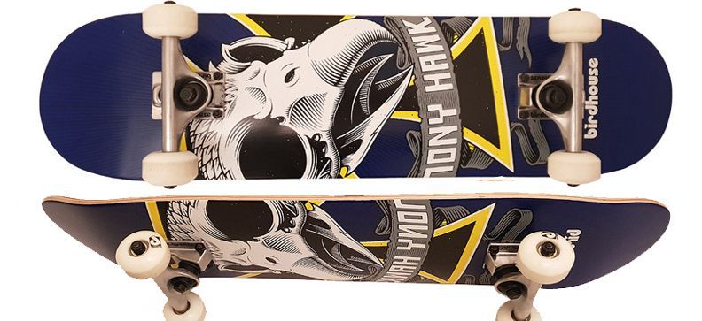 Komplettboard Birdhouse Skull Mini 7.25