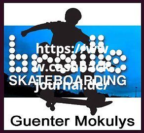 Braille Skateboards Logo