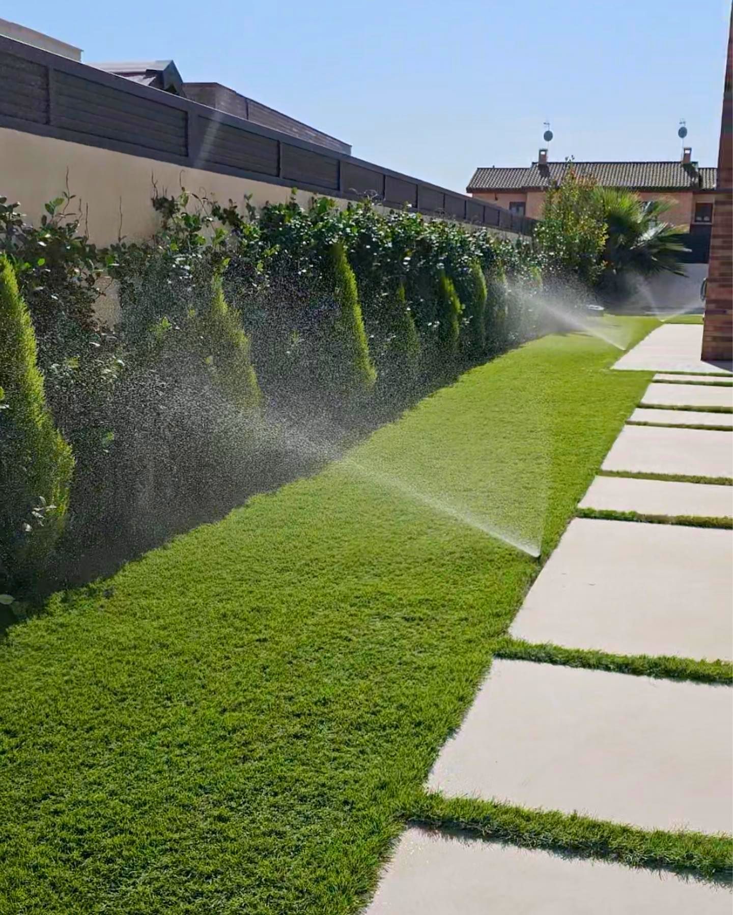 riegos y plantas