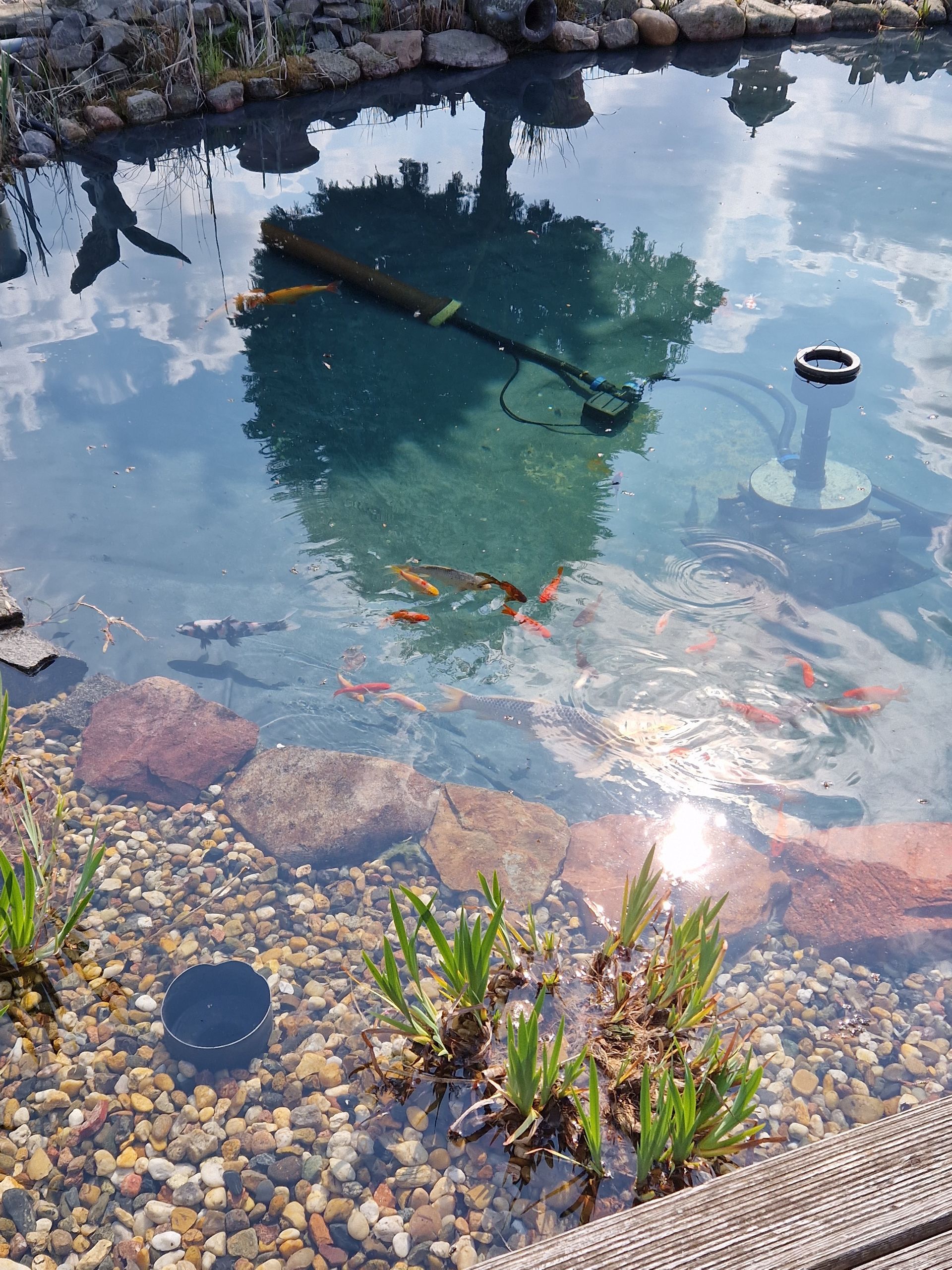 Wasser