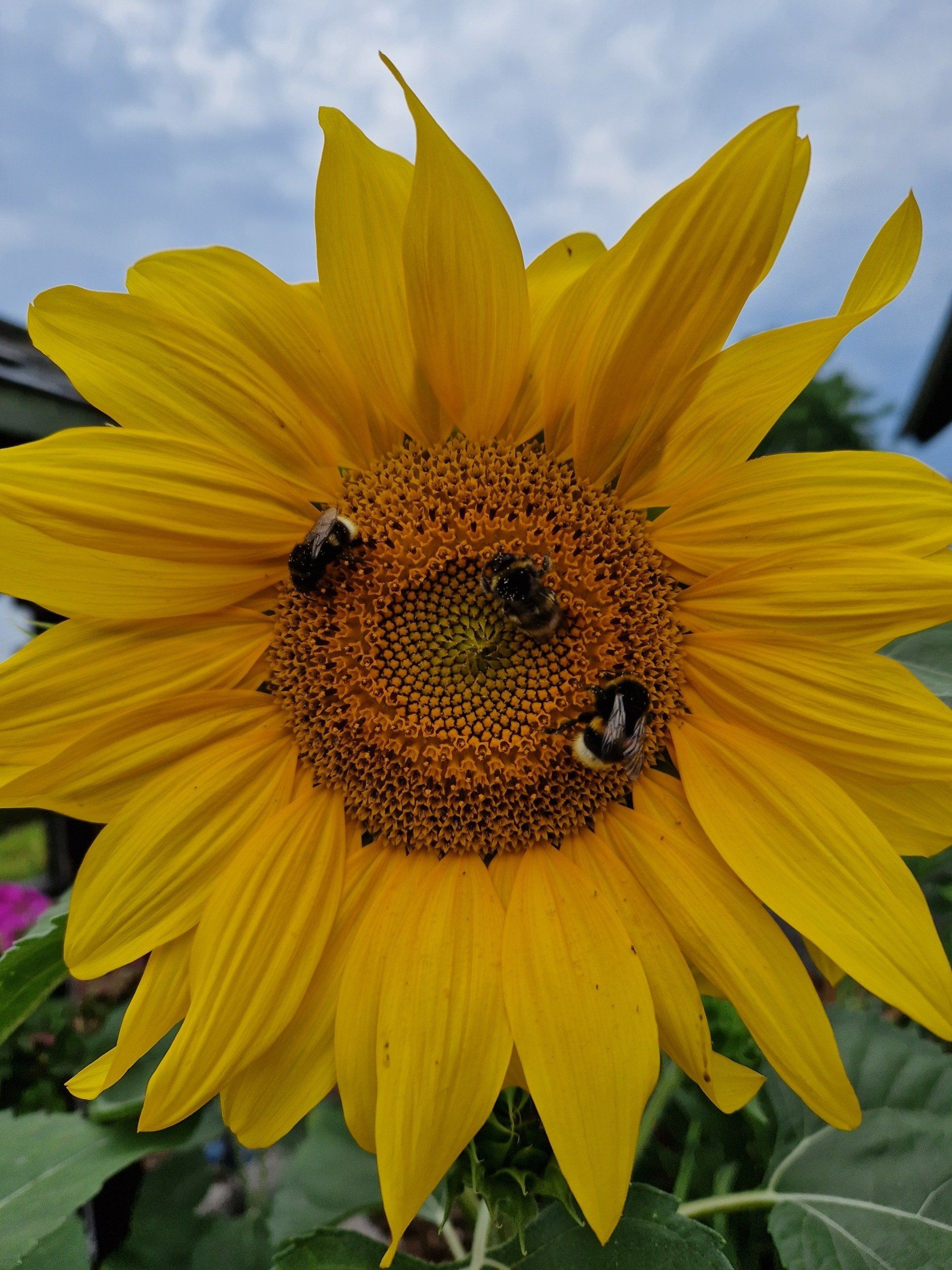 Philosophie - Astrologie mit Herz Philosophie - Astrologie mit Herz