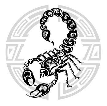 Skorpion Skorpion