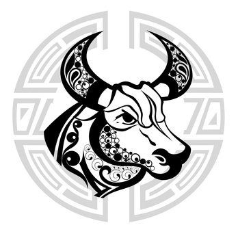 Stier Stier