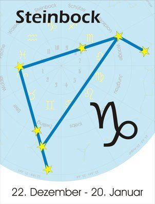 Steinbock Steinbock