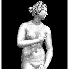 Venus Venus