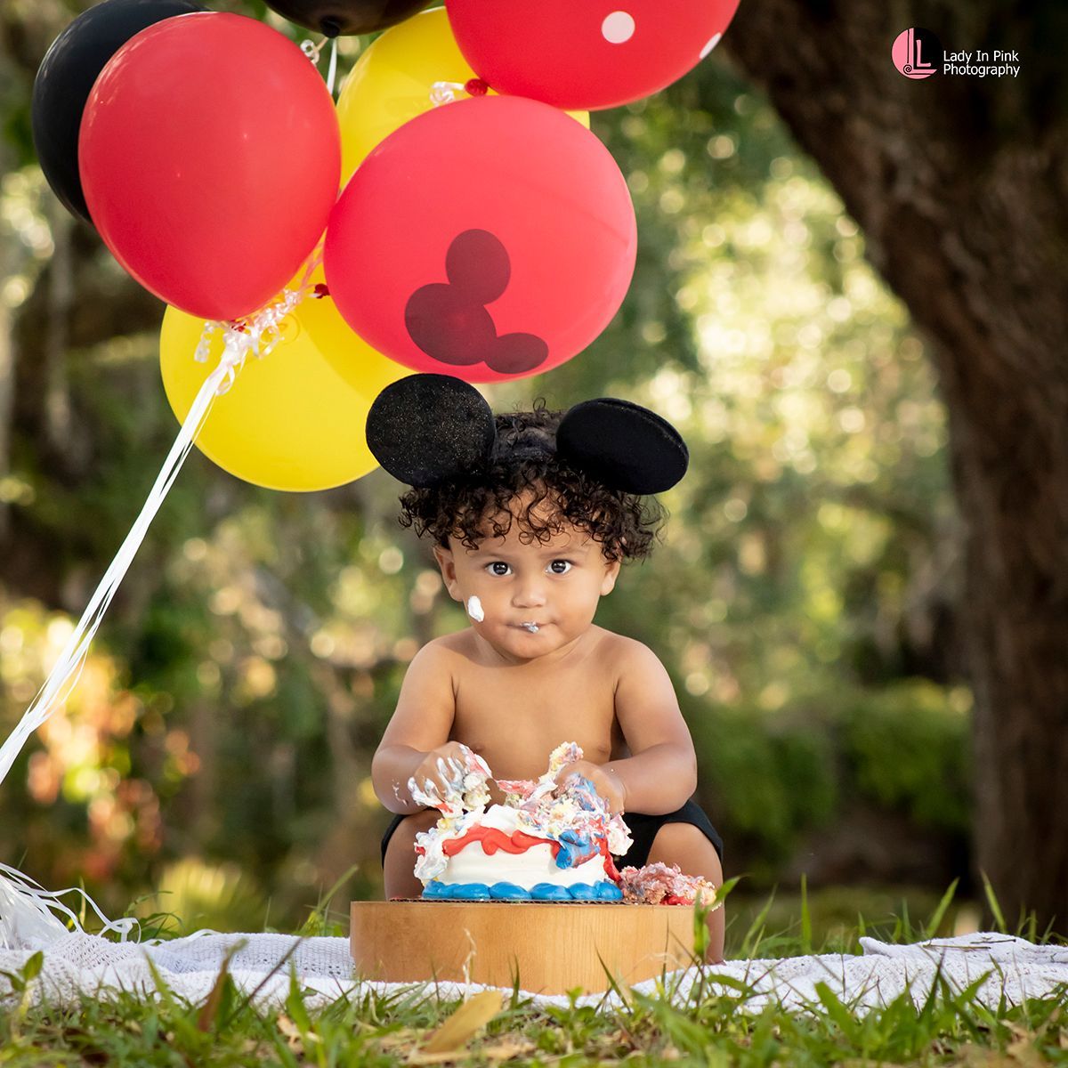 Lady in Pink Photography smash cake session at Koreshan State Park. Theme park Character inspired.