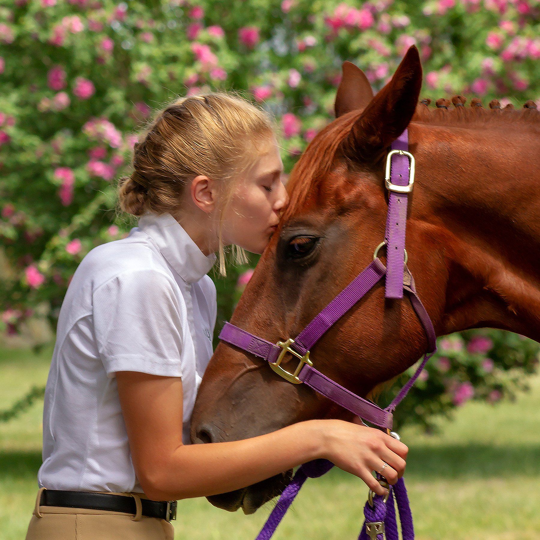 Lady in Pink Photography Pet Boutique Session downtown fort myers.