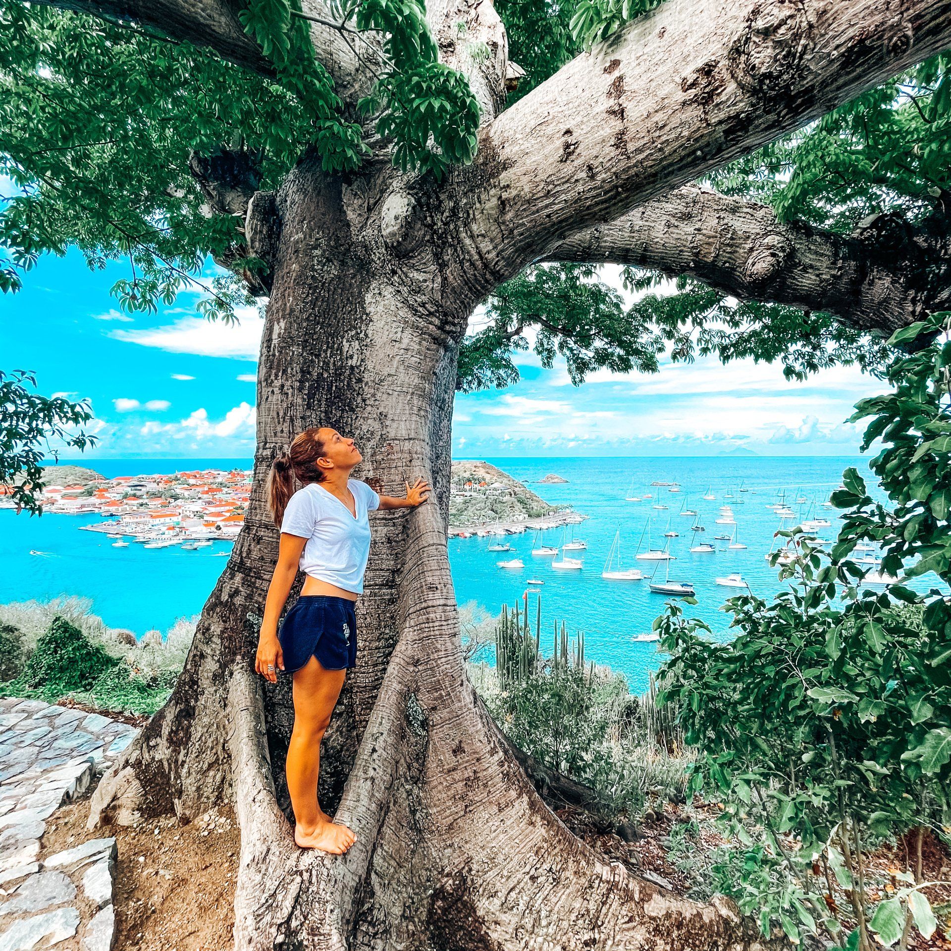 5 principes du yoga