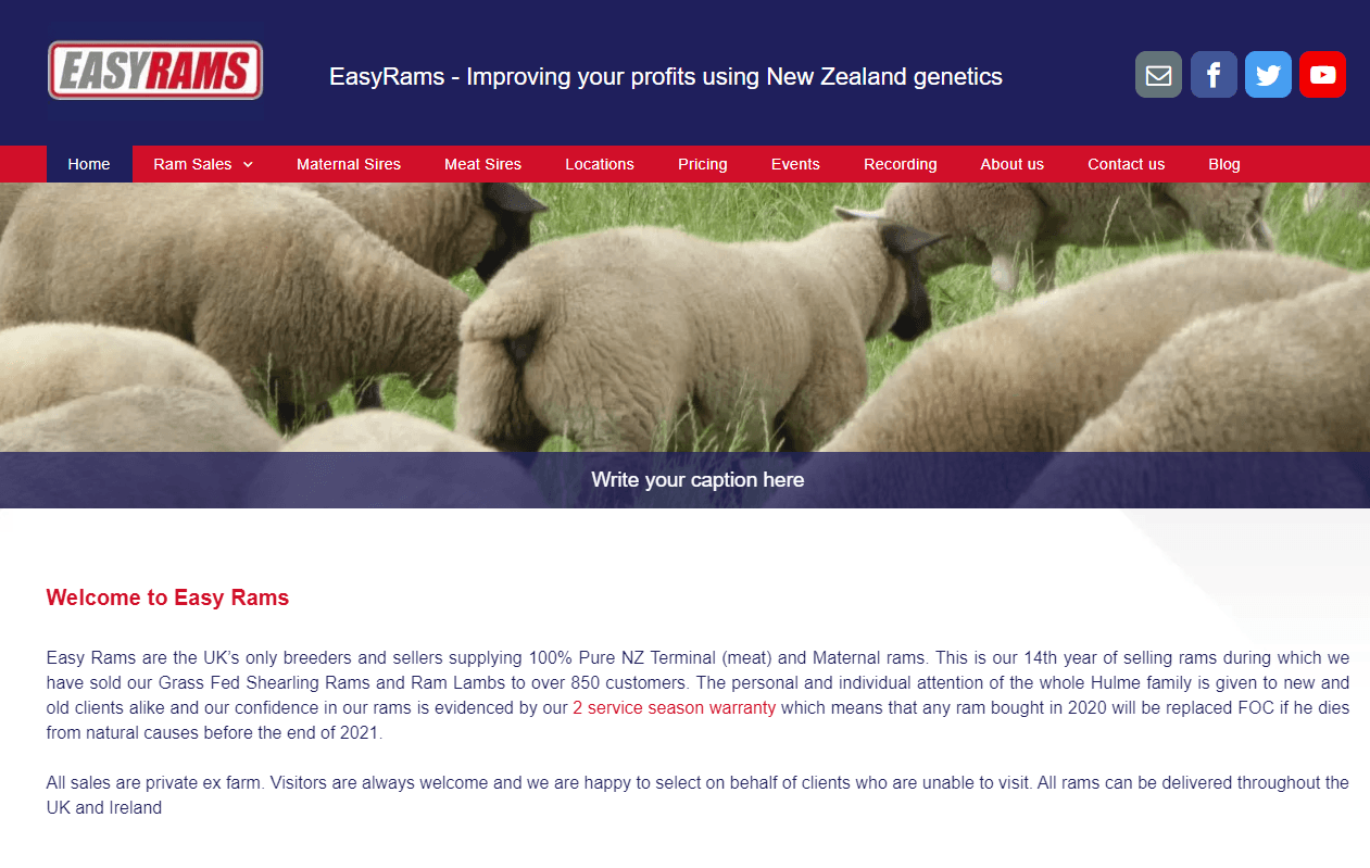 New EasyRams Rams Website 2020 Maternal Rams