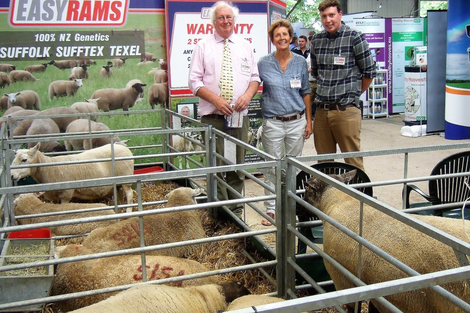 easyrams, pikesend farm, ellemere, sy12 0jz, maternal rams and terminla rams