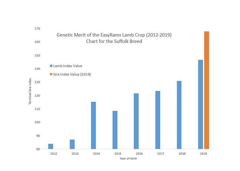 Genetic Merit of the EasyRams lambs crop 2012 - 2019