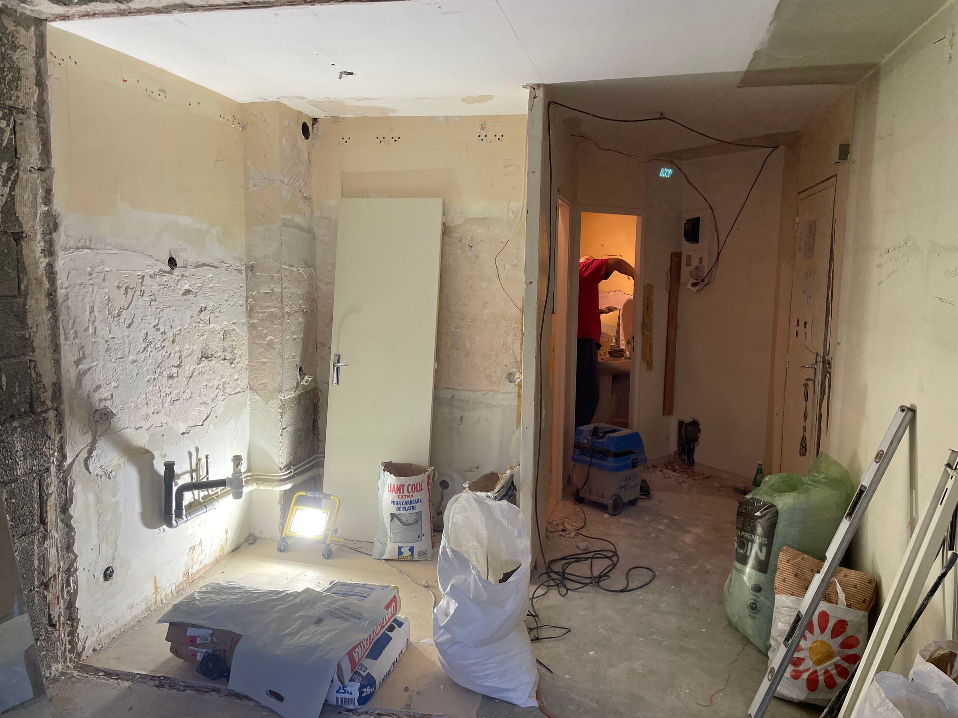 gregory fister, rénovation appartement paris 18