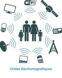 Pollution électromagnétique, les effets sur le vivant
