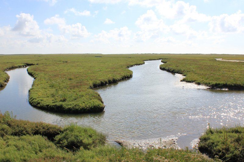 Priel an der Nordsee