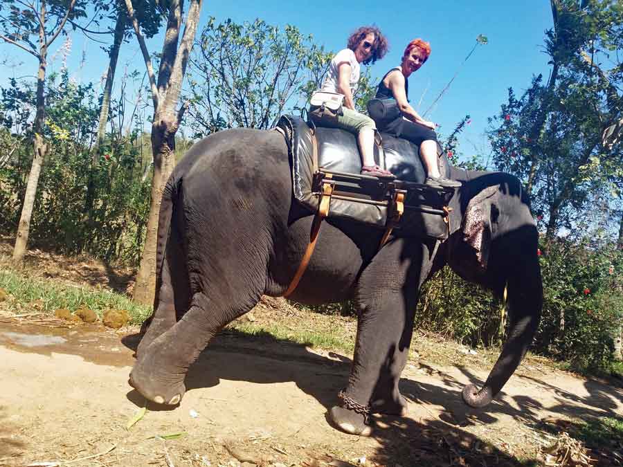 Elefantenreiten in Thekkady