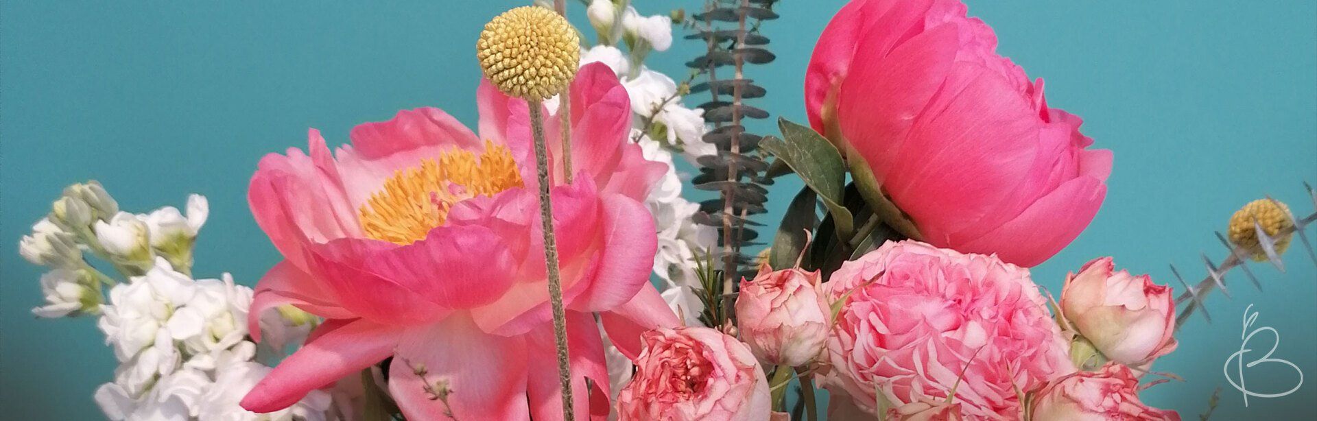 Blumenladen Bölschestraße Friedrichshagen Online Shop Günther