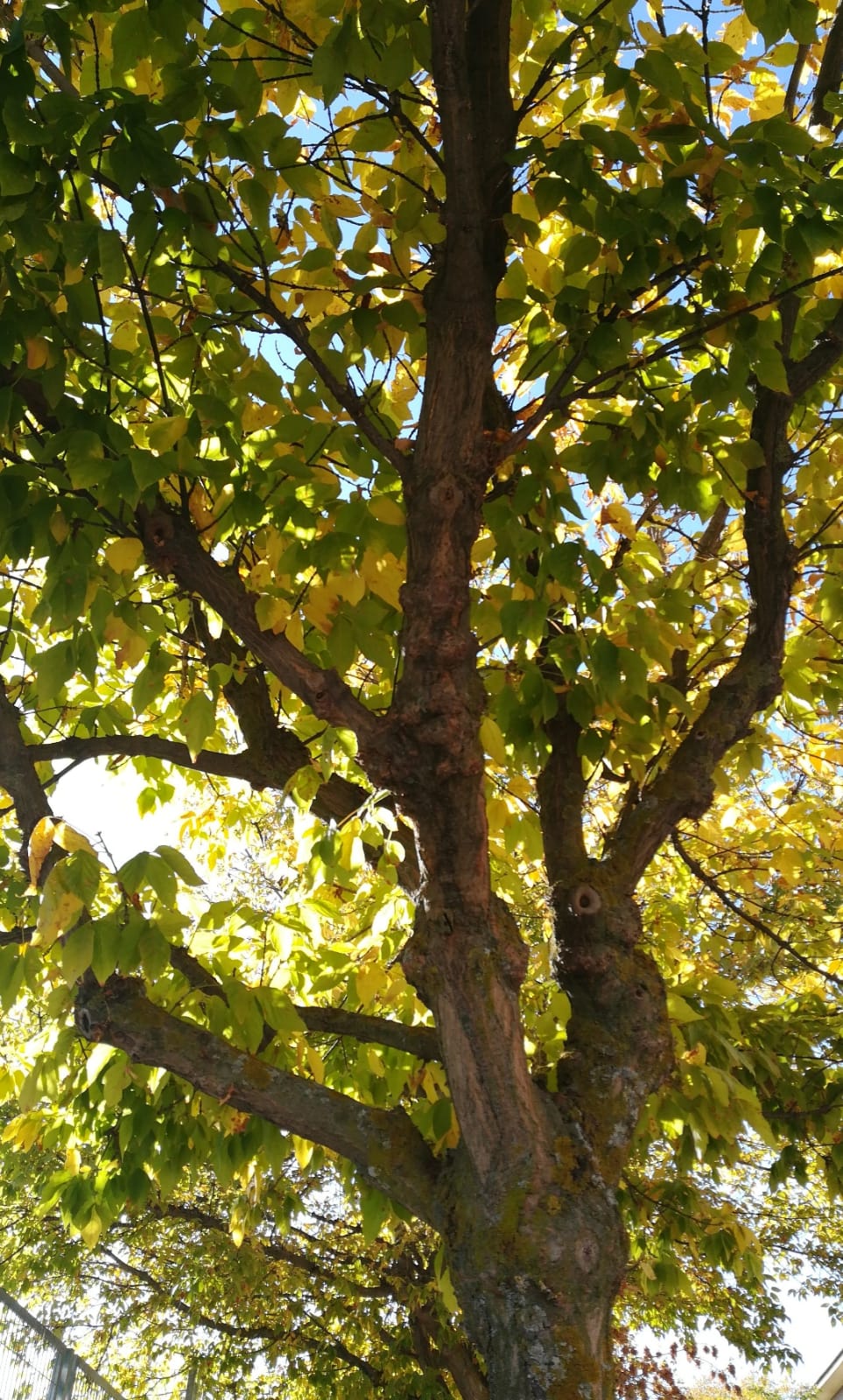 Psicólogos en Majadahonda - María González-Aller Crece alto