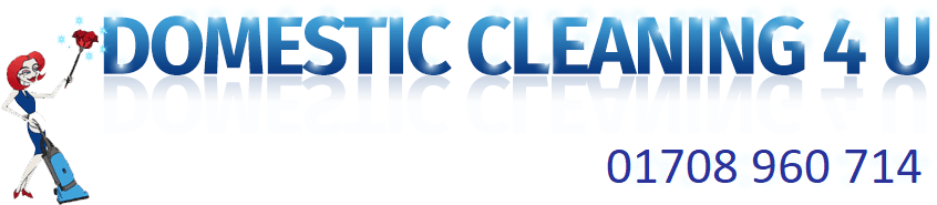Domestic Cleaning 4U Domestic Cleaning 4U