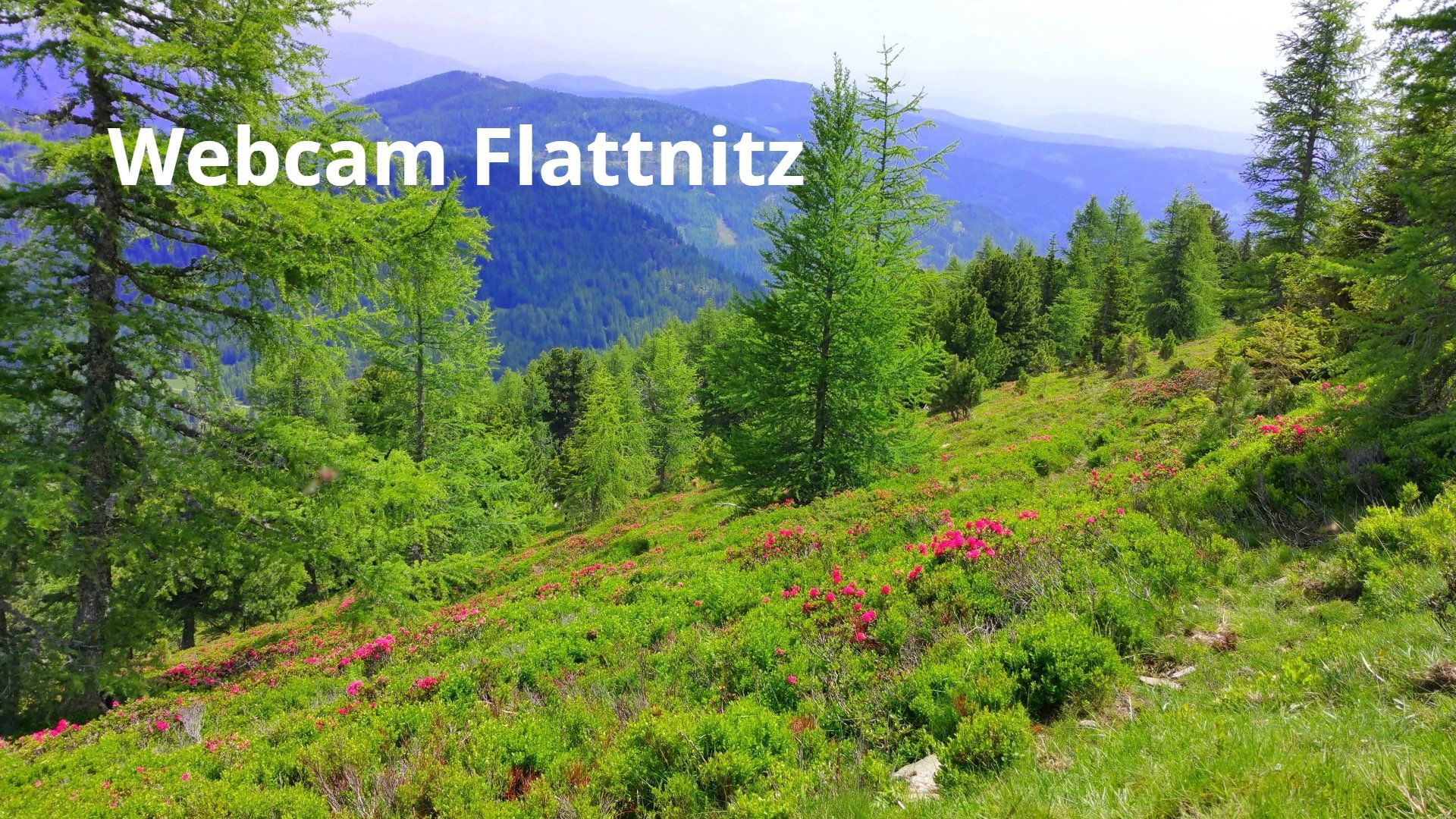 Webcam Flattnitz in Kärnten, Österreich