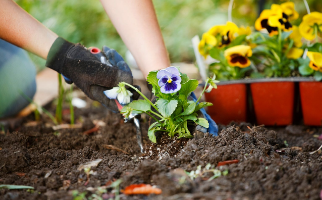 Gartenpflege