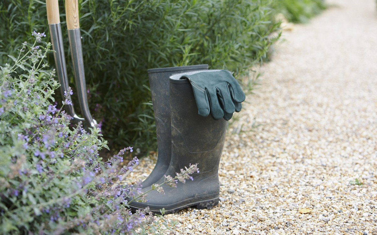 Gartenpflege - Unkraut- und Moosentfernung