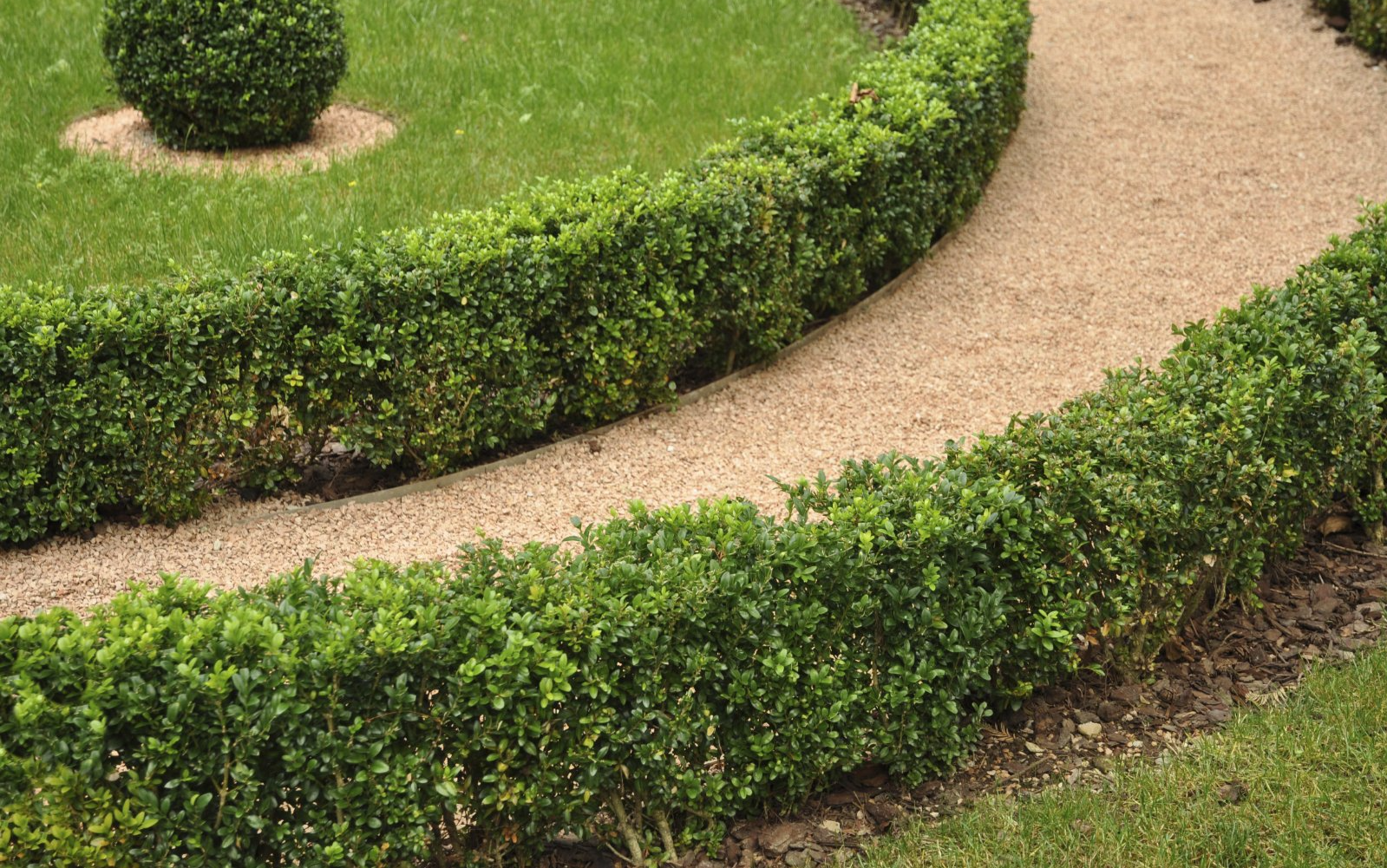 Gartenbau - Heckenbepflanzung