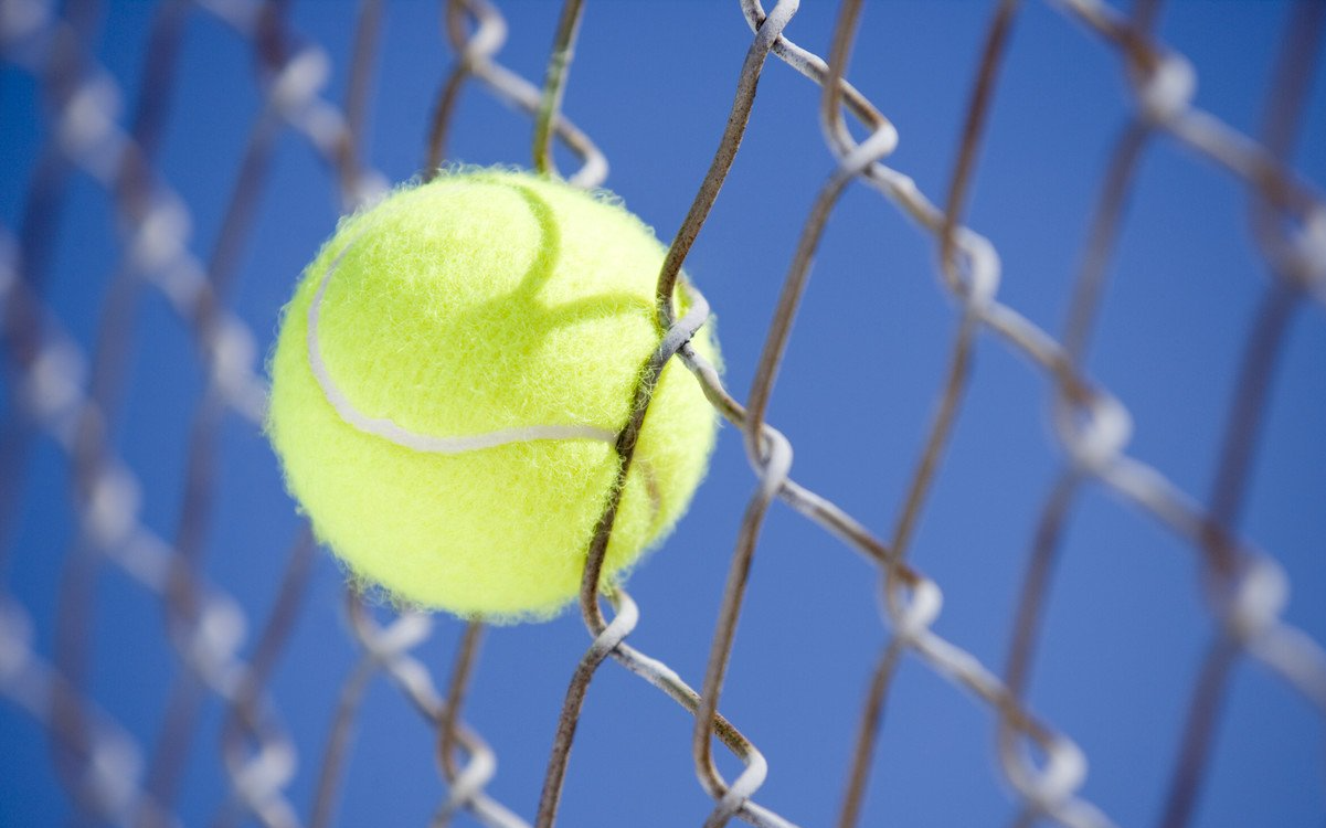 Gartenbau - Maschendrahtzaunbau