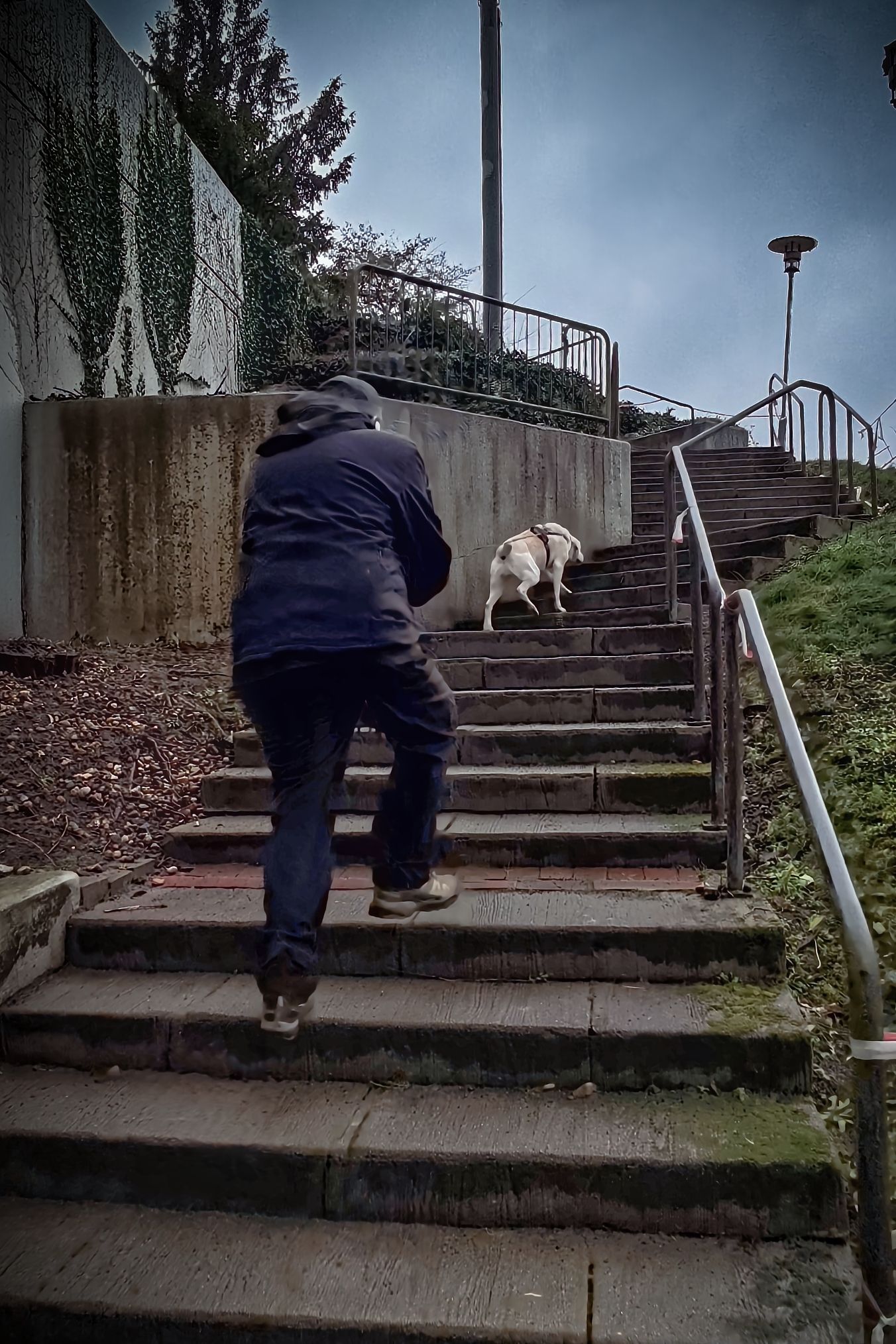 Personenspürhunde Schleswig-Holstein