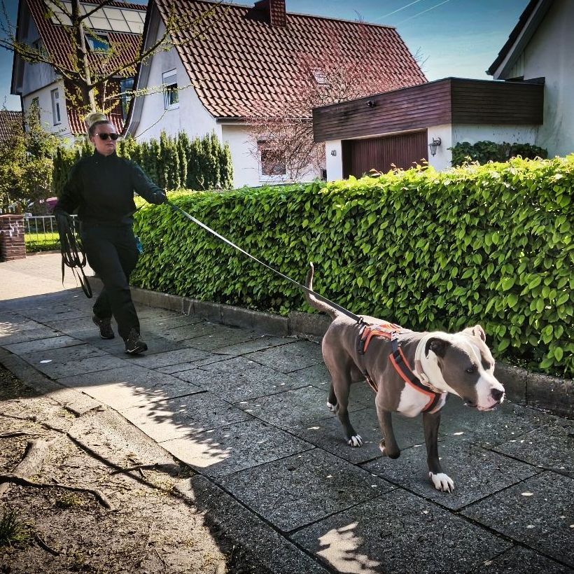 Personenspürhunde Schleswig-Holstein