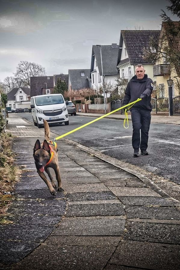 Personenspürhunde Schleswig-Holstein