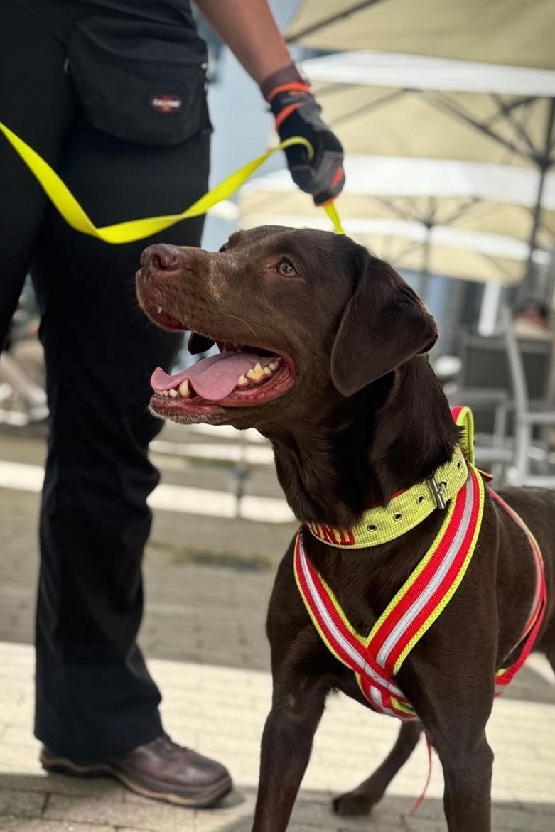 Personenspürhunde Schleswig-Holstein