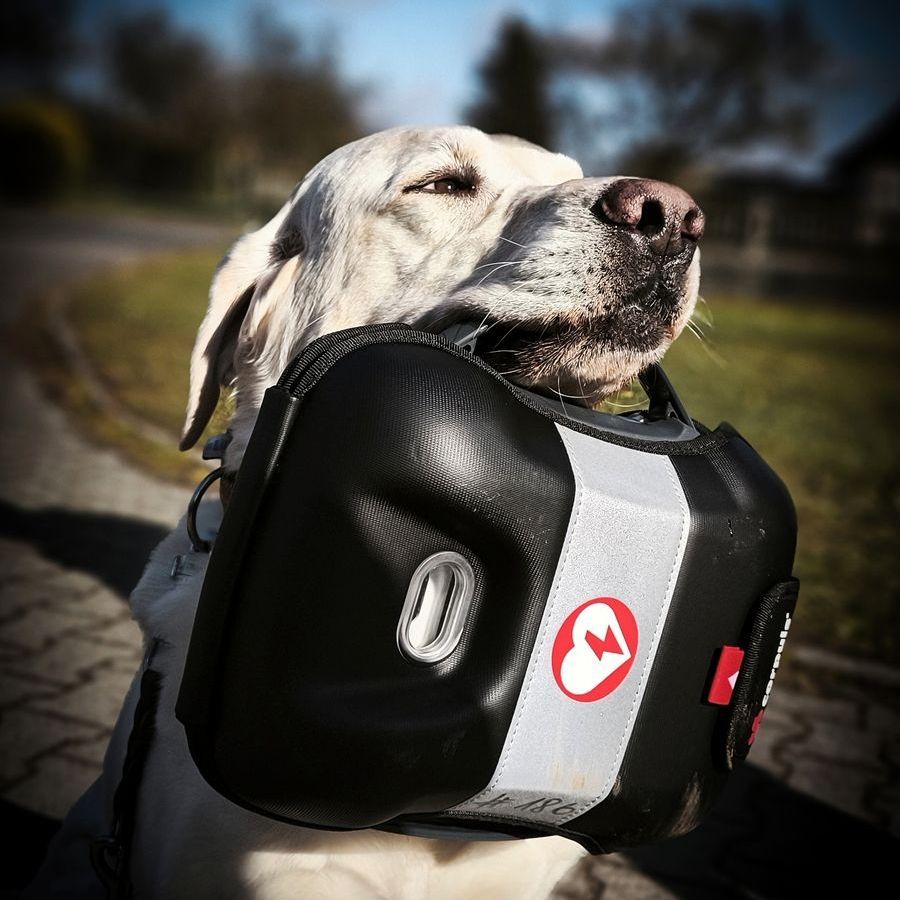 Personenspürhunde Schleswig-Holstein