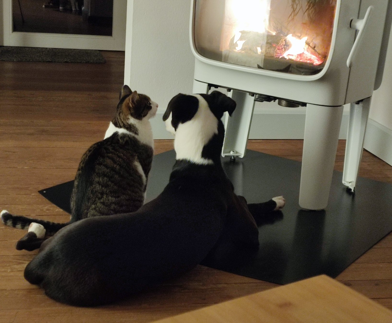 Liebe Fellnasenbegleiter/innen, wir machen vom 24.12.2022 bis zum 01.01.2022 Urlaub.