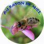 AU RAYON DE MIEL