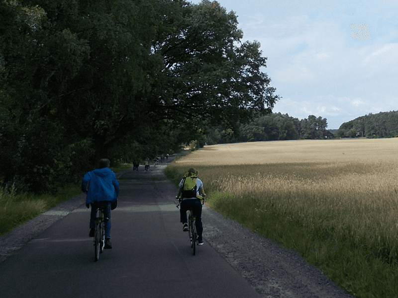 Firmen Ausflug Museumsdorf Fahrradtour