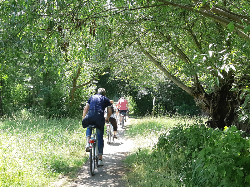 Betriebsausflug ins Museumsdorf Glashütte Fahrrad tour