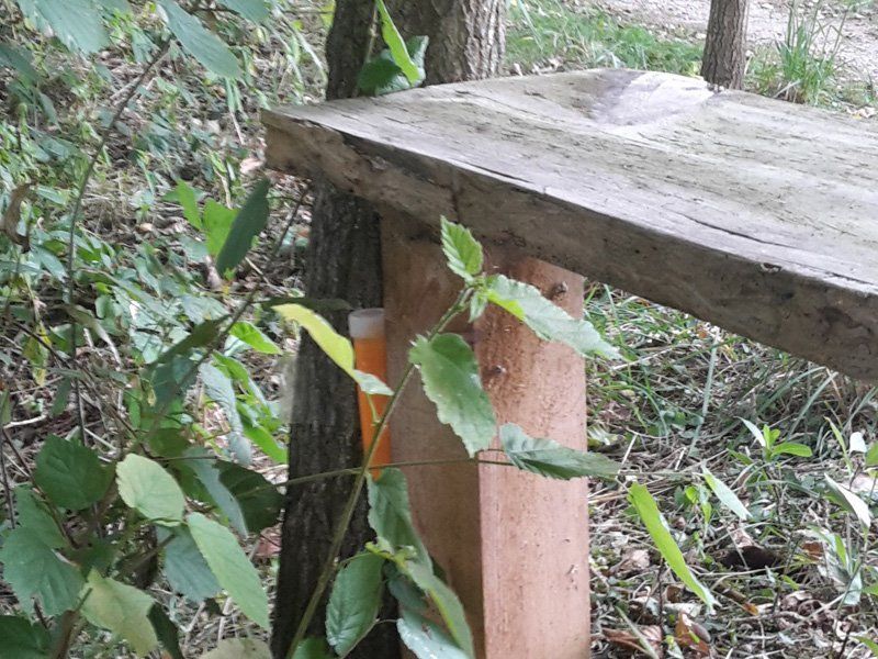 Teamausflug GPS Schatzsuche Fahrradtour Brandenburg